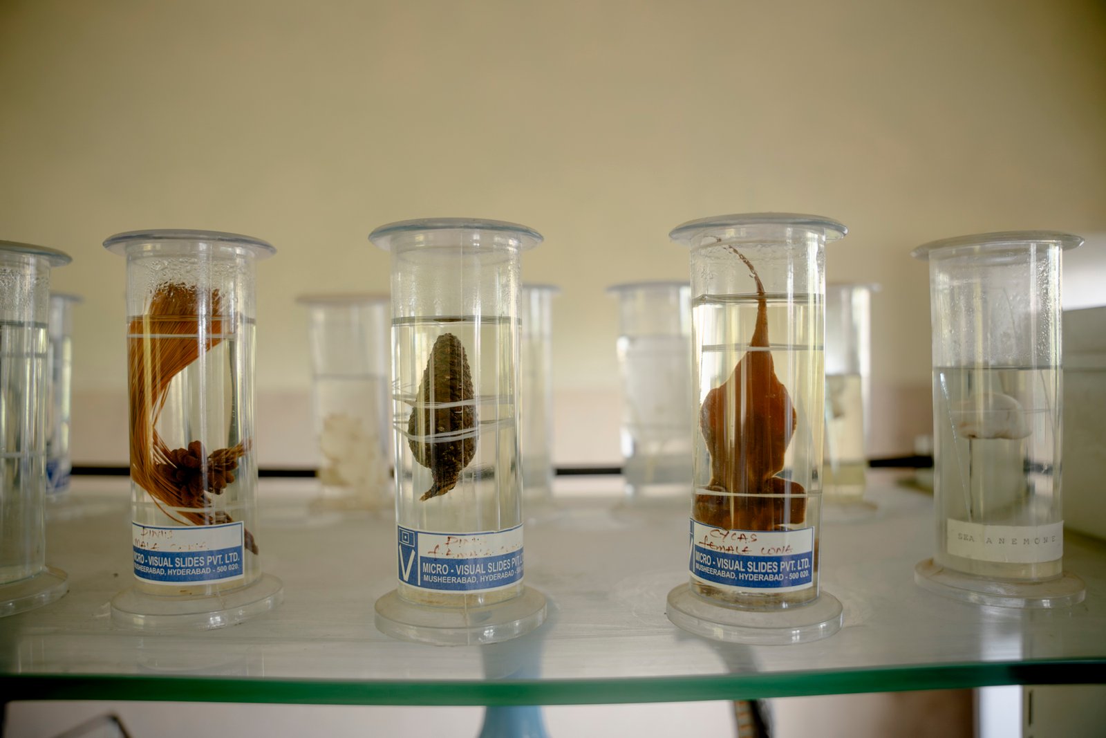 Lab and lab classes/UKP01995.jpg