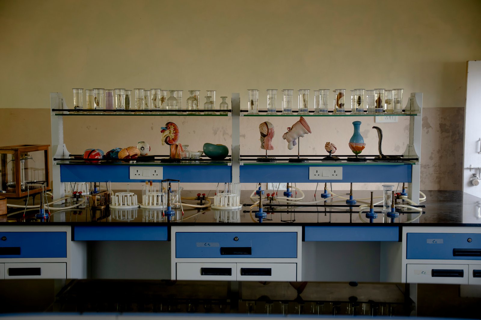 Lab and lab classes/UKP02002.jpg