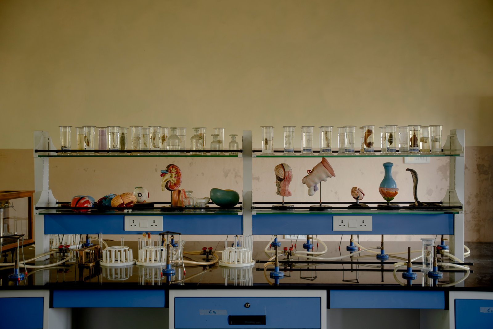 Lab and lab classes/UKP02003.jpg