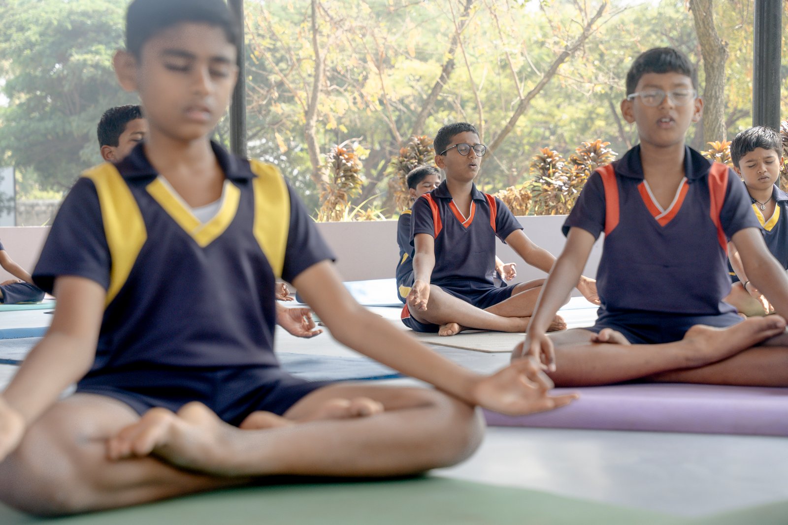 Yoga canopy/UKP02417.jpg